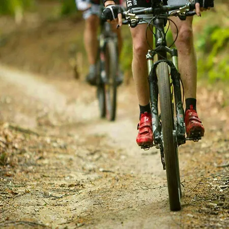 Au Bois Chantant 別荘