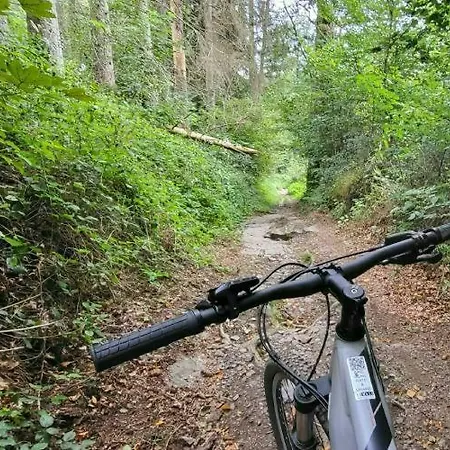 別荘 Au Bois Chantant *