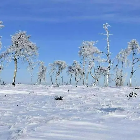 別荘 Au Bois Chantant *